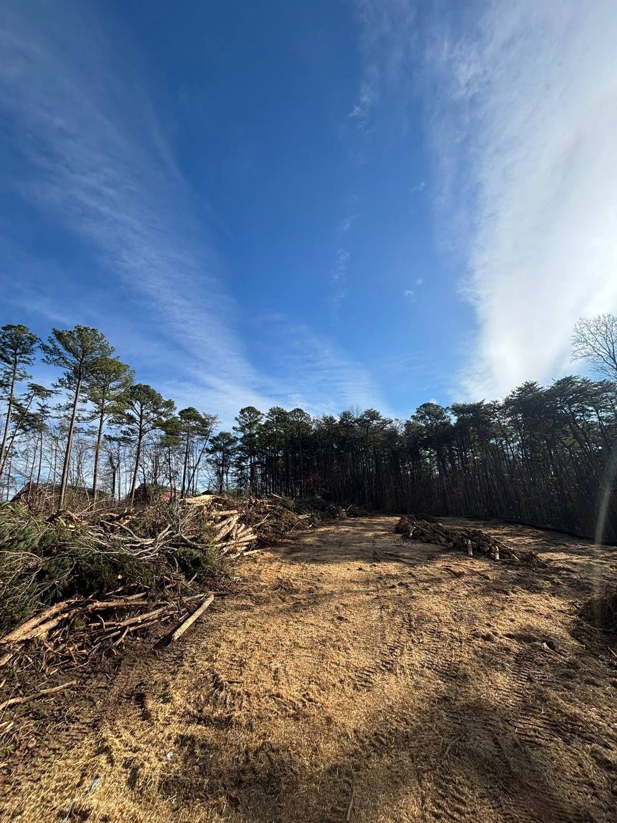 Wooded lot cleared down to red clay by Southern Dirt