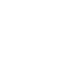 Southern Dirt LLC